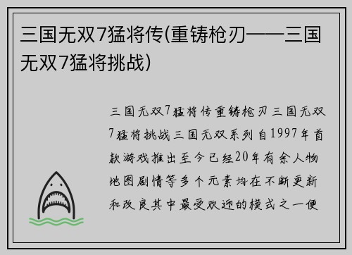 三国无双7猛将传(重铸枪刃——三国无双7猛将挑战)