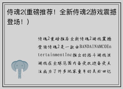 侍魂2(重磅推荐！全新侍魂2游戏震撼登场！)
